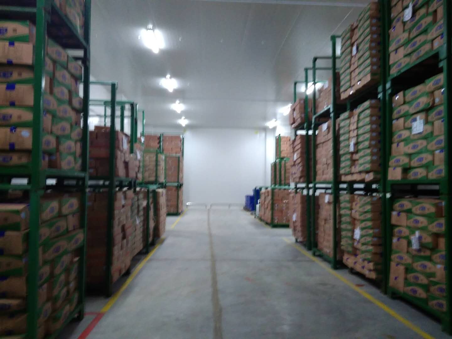 建設8500㎡陰涼物流低溫倉庫安裝配置方案費用是多少？