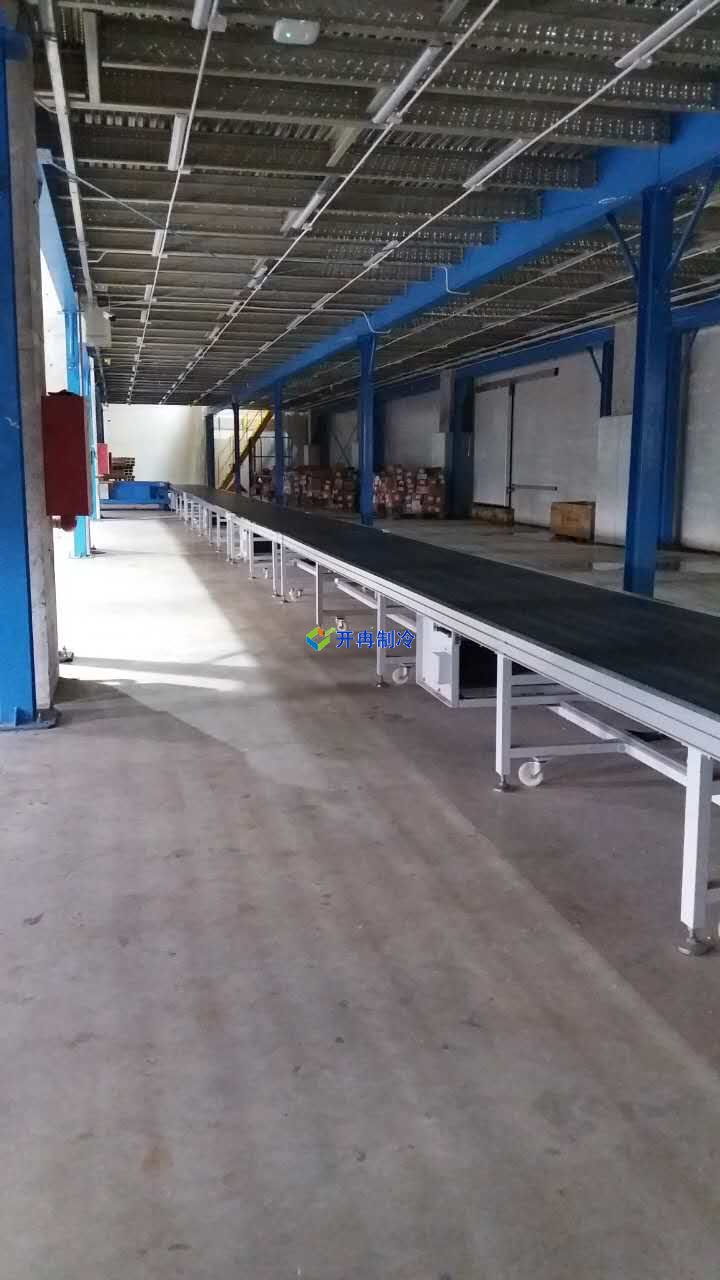 冷凍肉類冷庫設(shè)計方案報價，一套凍肉低溫庫多少錢