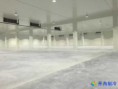 底下室建造1000平米冷凍庫，冷凍庫造價核算多少