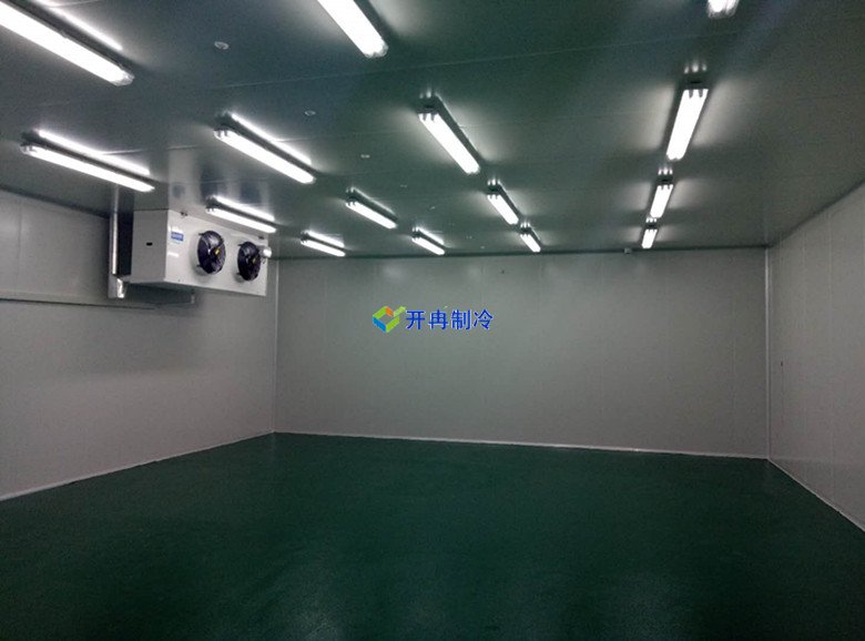100m3血液冷庫溫度一般多少度，醫療冷庫報價  冷庫內景圖片 